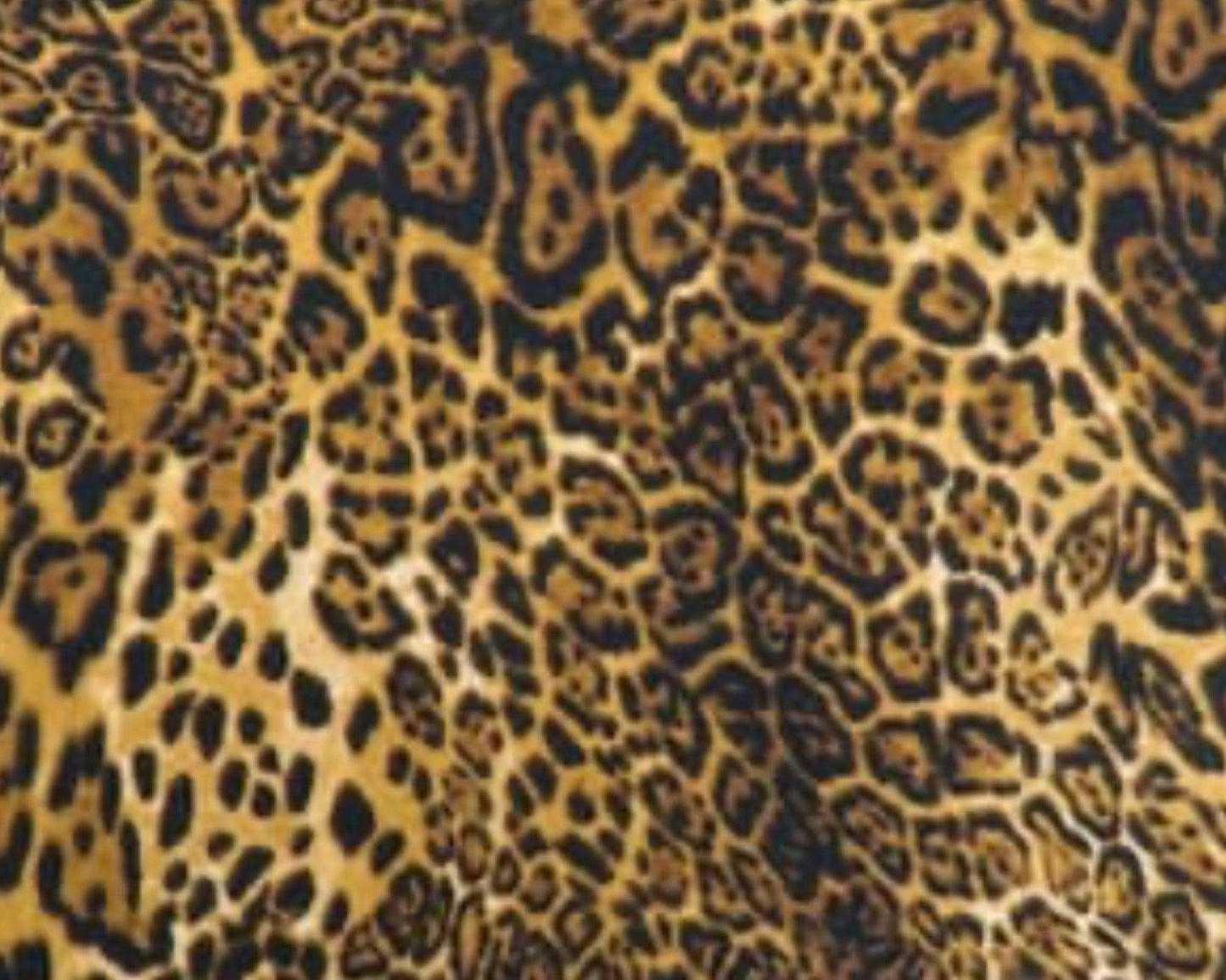 Leopard Doris Playsuit Set