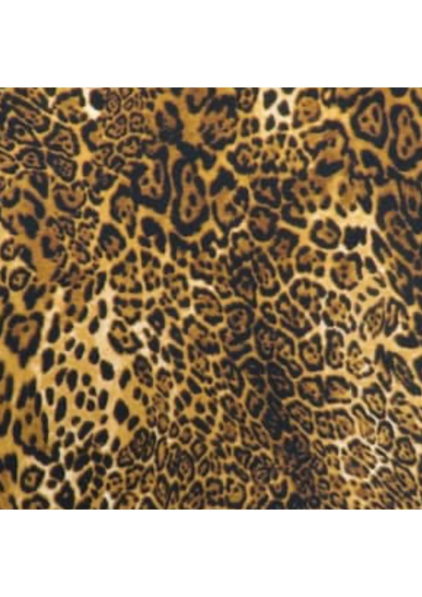 Leopard Playsuit Set