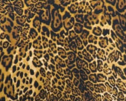 Leopard Doris Playsuit Set
